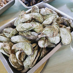 下一篇p50朋友介绍的50应用界面展示